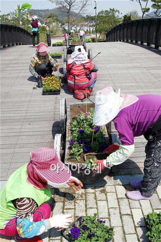 [포토]꽃단장하는 함평 나비축제