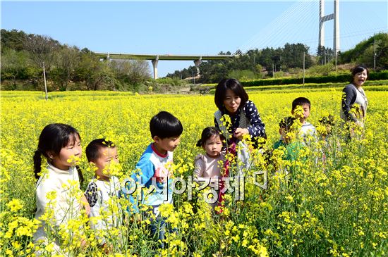 [포토]이순신대교 길목 여수 묘도에 ‘유채꽃’ 활짝