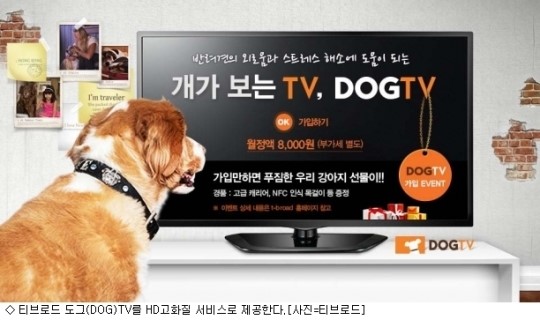 '개가 보는 TV?'…티브로드, 도그TV 서비스 제공