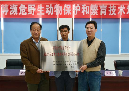 [포토]에버랜드, 中과 황금원숭이 등 멸종위기 동물 공동연구