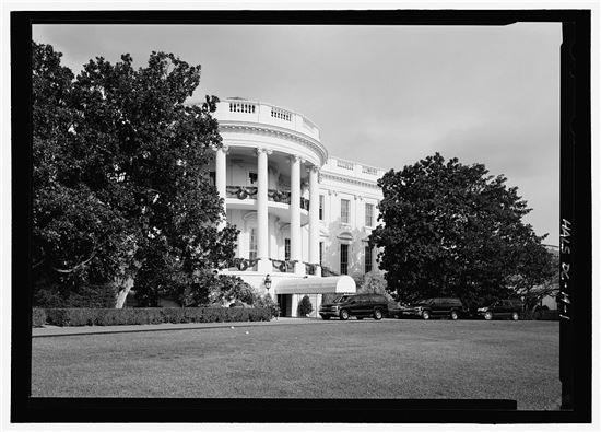 백악관의 '잭슨 목련(Jackson Magnolia)' (출처 : 미국 의회 도서관)