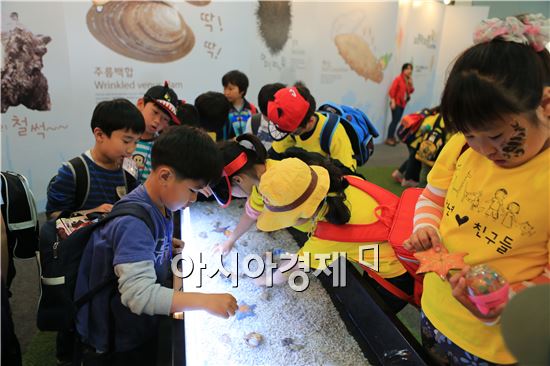생태환경관에서는 직접 만져 볼수 있는 체험공간이 조성되어 있다.