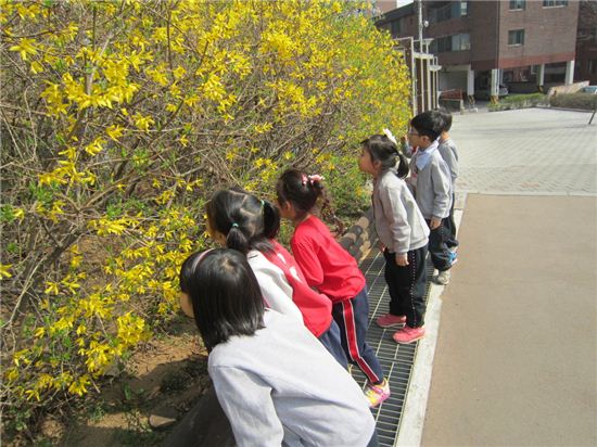 숲 해설가와 함께 구로 올레길 걸어요