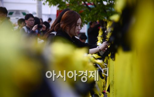 [포토]'노란 물결'