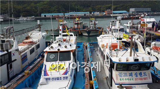 [세월호 침몰]바다로 나가는 어민들 "수색이 생업보다 절박한 일"