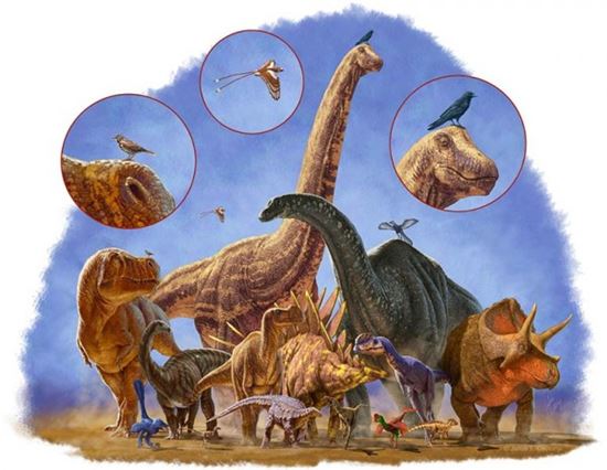 ▲대종말 당시 몸집이 큰 공룡들은 멸종했는데 몸집이 작고 새(Bird)로 진화한 종은 살아남았다.[사진제공=사이언스]