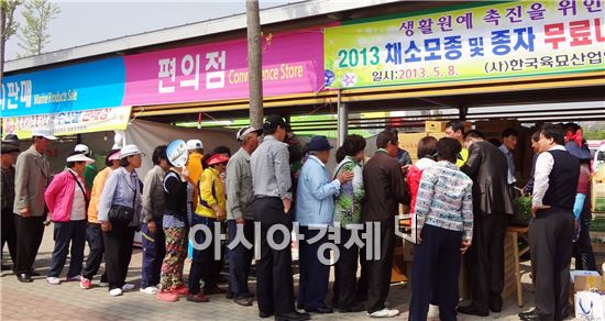 (사)한국육묘산업연합회 8일 함평서 채소육묘 무료 보급