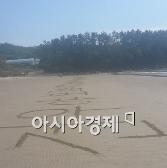 [세월호 침몰]"엄마는 행복했다" 팽목항의 부치지 못한 편지 