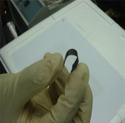 생체로봇 만드는 인공근육 개발됐다