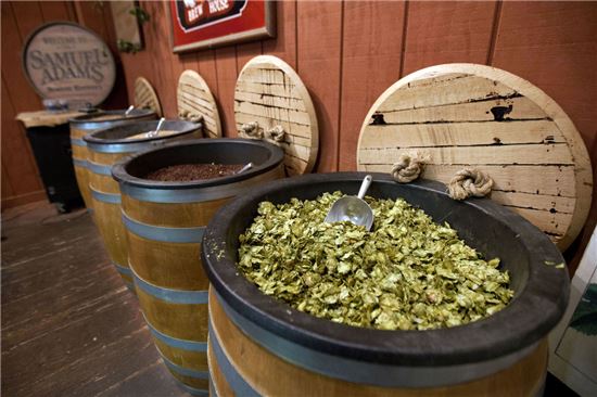 미국의 한 크래프트 맥주 제조업체가 맥주 제조용 홉과 보리를 전시하고 있다(사진=블룸버그) 