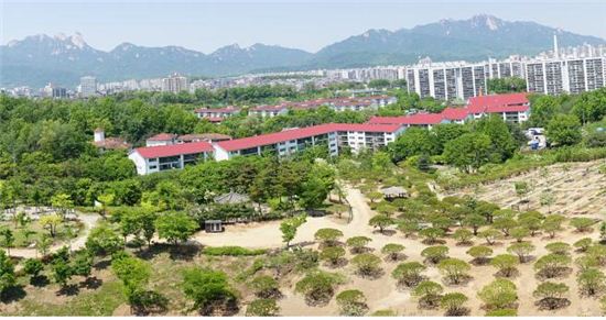 사철 푸른 명품반송옷 입은 초안산