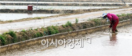 [포토]봄비 속 농사 준비하는 농부