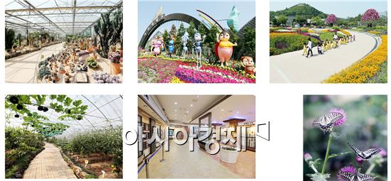좌측 위에서부터 시계방향으로 다육식물관, 자연생태관, 중앙광장, 나비생태관, 나비곤충표본관, 친환경농업관