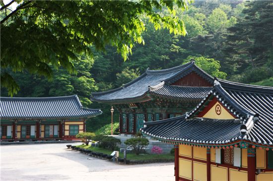 ‘치유와 위로, 휴식’의 충청권 봄 나들이길 2선(選)