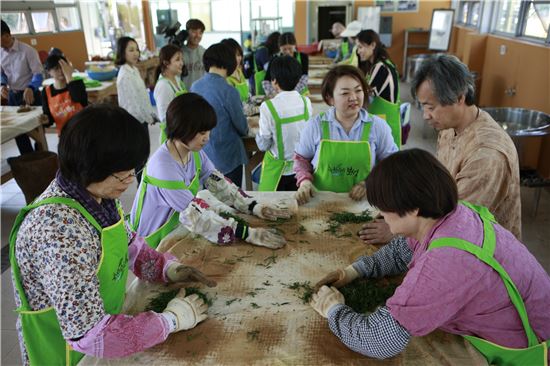 <일본인 관광객들이 전남 보성을 방문, 한국차박물관의 '차 만들기 체험'에 참여해 찻잎을 덖고 있다.>