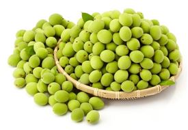 롯데마트, '햇 매실' 예약 판매 