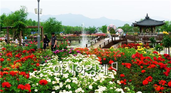 곡성섬진강기차마을 장미공원