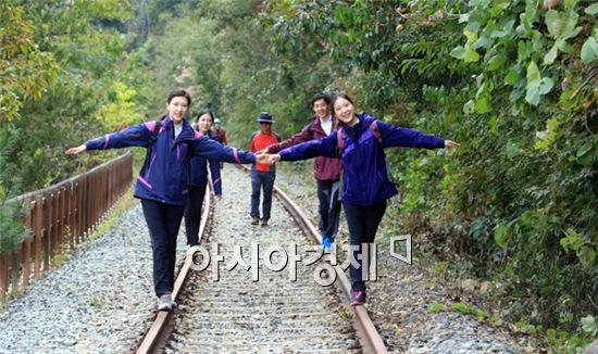 전남 녹색 명품길, 피톤치드 다량함유 된 곡성 섬진강 둘레길