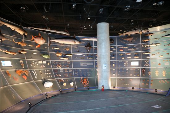 국립해양생물자원관 내부 전시관