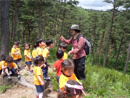 대관령자연휴양림에서 어린이들을 대상으로 한 숲해설 프로그램(금강송 탐방)이 펼쳐지고 있다.