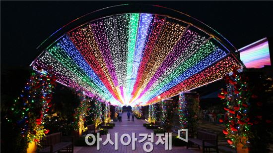 [포토]불밝힌 화려한 곡성섬진강기차마을 1004장미공원 