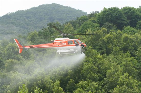 소나무재선충병 항공방제를 하고 있는 중형산림헬기(AS350).