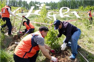 하이원리조트, 1000여주 산딸나무 식재행사 가져