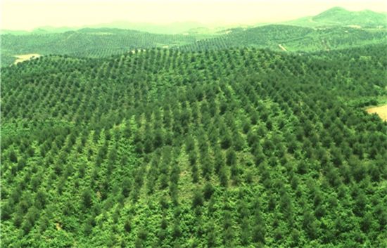‘북한산림복구용 종자계획’ 마련, 채종원도 2배 확대
