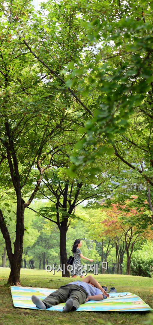 [포토]'나무그늘 아래....휴식 취하는 시민'