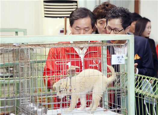 유정복 새누리당 인천시장 후보(왼쪽)가 28일 계양구 유기동물보호소를 방문해 설명을 듣고 있다. 