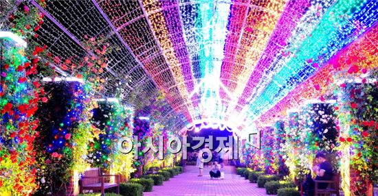 곡성군 섬진강 기차마을 장미공원 불야성 대박 