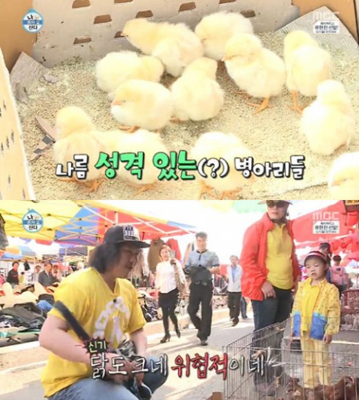 육중완 모란시장 나들이, 경비견 찾다 병아리 입양 "귀요미네" 