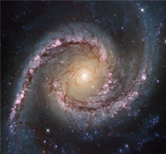 ▲강력한 빛을 내뿜는 아름다운 'NGC 1566' 성운.[사진제공=NASA]