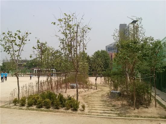 서울 돈암초등학교 학교숲