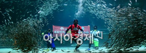 [포토]2014 정어리 아쿠아리움컵