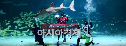 [포토]'대한민국 대표팀 화이팅!'