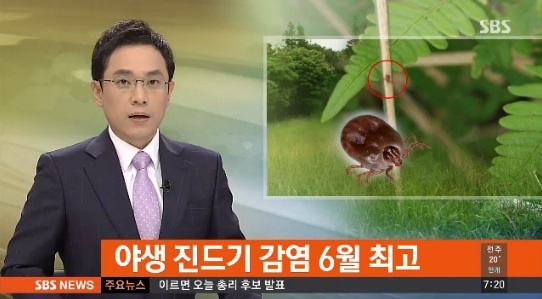 사진=SBS 뉴스영상 캡처