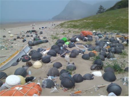 <다도해 해상국립공원인 신안 우이도 성촌해변에 해양쓰레기가 가득 쌓여 있다.>
