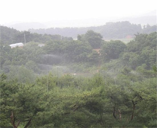 스프링쿨러 방제작업이 이뤄지고 있는 충남 태안군 안면도 채종원 전경 
