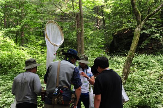 지난해 청태산에서 열린 ‘바이오 블리츠 코리아(BioBlitz Korea) 때 곤충탐사 모습