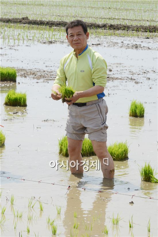 광주시 광산구 송산동 들녘에서 15일 6·15공동선언실천 남측위원회 광주전남본부 회원들이 참석한 가운데 통일 모내기를 실시했다.  

6·15공동선언 14주년을 맞아 열린 이날 행사에는 윤장현 광주시장 당선인과 6·15공동선언실천 남측위원회 회원 30여명이 참여했다. 윤장현 광주시장 당선인등 참가자들은 북녘 동포에게 보낼 쌀의 추수를 기원하며 구슬땀을 흘렸다. 
