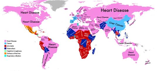 국가별 사망 원인 1위 질병 지도(출처=Globalpost)