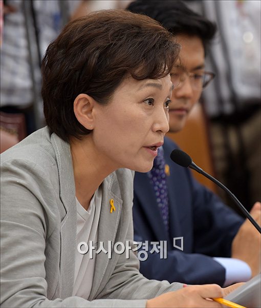 김현미 후보자, 전문성 논란에 "문외한은 아니다" 반박