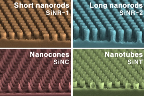 ▲하이브리드 태양전지 효율 비교를 위한 다양한 형태의 실리콘 나노구조.[사진제공=GIST]
