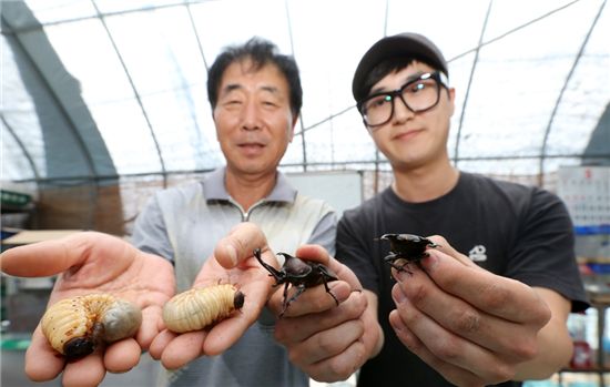 곤충 길러 ‘1억원대 매출’ 올리는 박천기·경석씨 부자