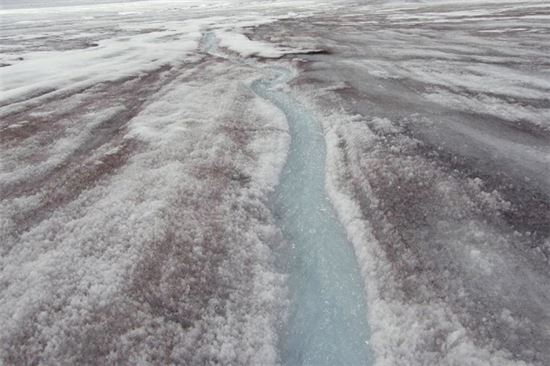 ▲그린란드 지역 빙하에 불순물이 많아지면서 녹는 속도가 빨라지고 있는 것으로 나타났다.[사진제공=사이언스]