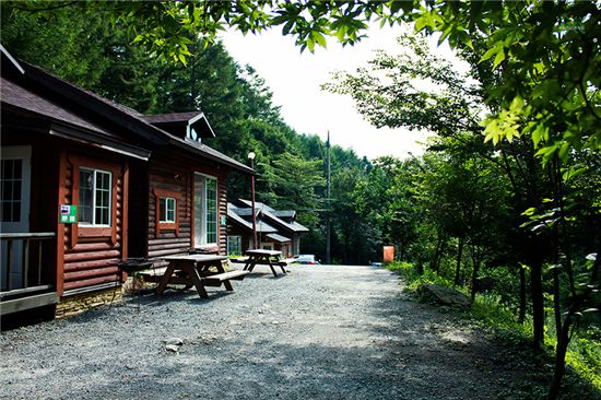 유명산자연휴양림 ‘산까치 객실’ 경쟁률 227대 1