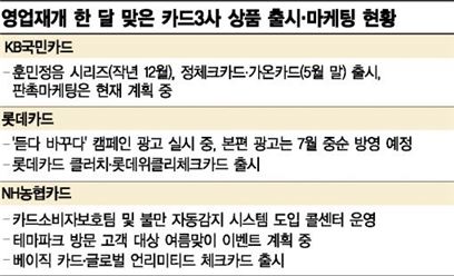 카드3사 영업재개 한 달…여전한 '눈치보기'