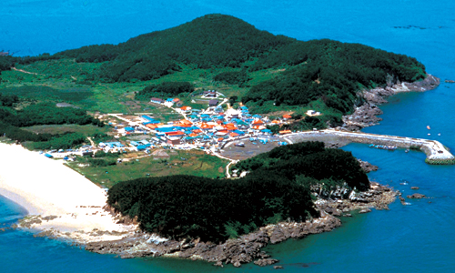 ‘피서객 사냥’ 나선 서해안 해수욕장들 차례로 개장