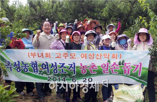 곡성농협(조합장 빙기윤)은 '농업인과 함께하는 농협, 농업인에게 실익을 지원하는 농협'으로 거듭나기 위해 농촌사랑 일손돕기를 실시했다.

이날 곡성농협 임직원과 여성조직(주부대학, 부녀회, 산악회) 80여명은 매실 수확철 일손이 부족한 삼기지점내 2농가에서 매실수확 일손돕기를 실시했다.

매실공선출하회 회장인 공창수씨는 “매년 농협에서 매실수확 일손을 지원해 주셔서 감사하다"며 "특히 올해는 매실가격 폭락으로 수확 포기 등 매실재배농가가 가장 힘들 때농협에서 지원 나와 그나마 힘이 난다 ”고 말했다.

빙기윤 조합장은 “농협에서도 농협안성물류으로 출하량을 확대해 유통비용 절감을 통해 농가수취가격이 제고될 수 있도록 총력을 다 하겠다“  밝혔다 .
